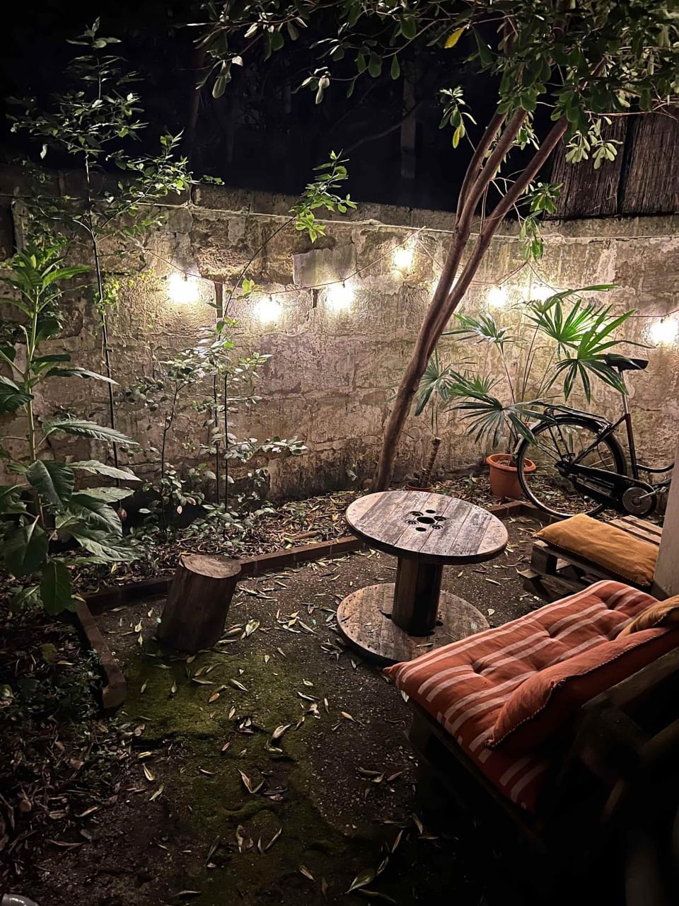 Patio, Night, Natural landscape, Garden, Garden view