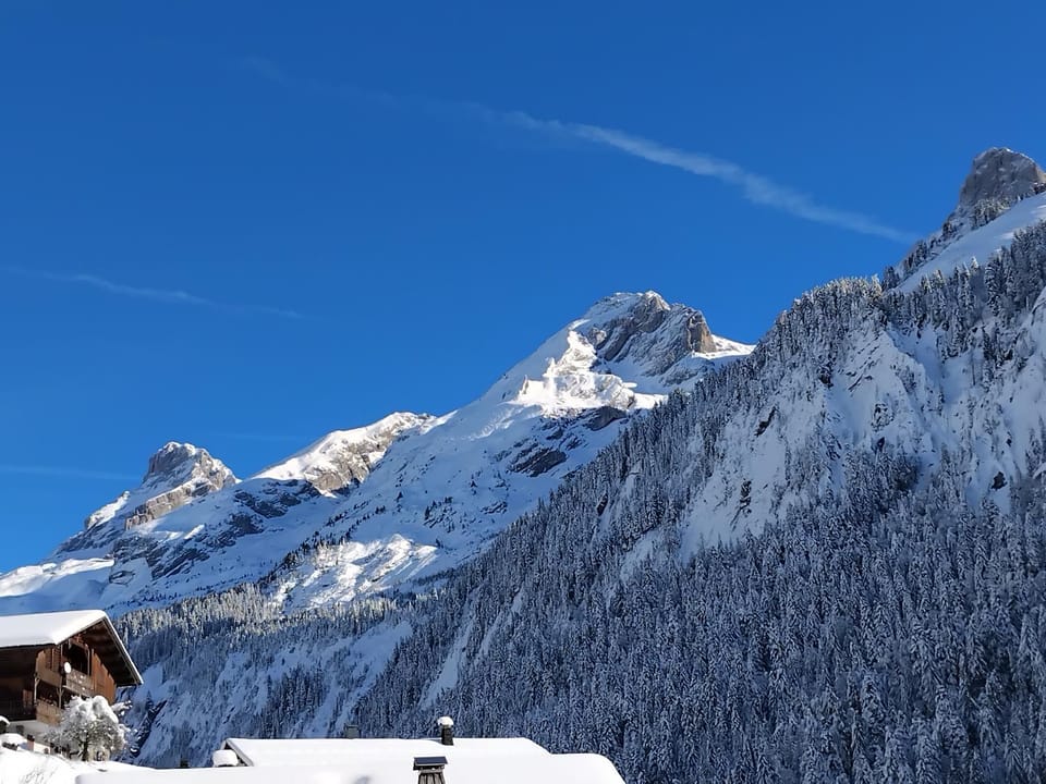 Winter, Mountain view