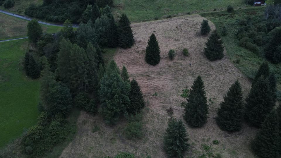 Villa Tersilla Bed and Breakfast in Friuli-Venezia Giulia