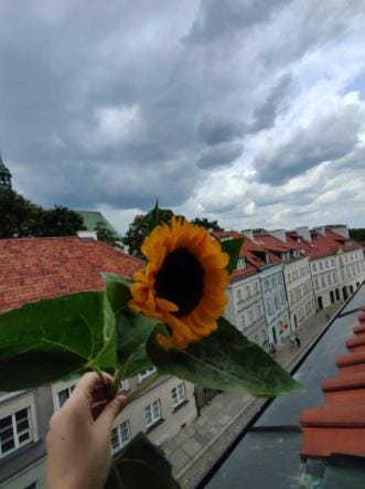 Old Town Nest Apartment Apartment in Warsaw