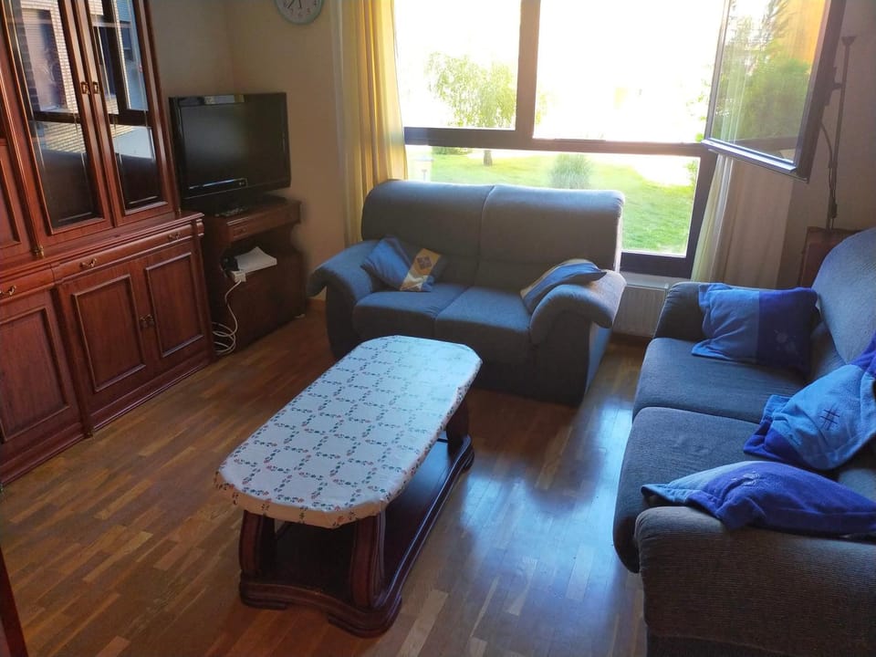Bienvenidos Apartment in Burgos