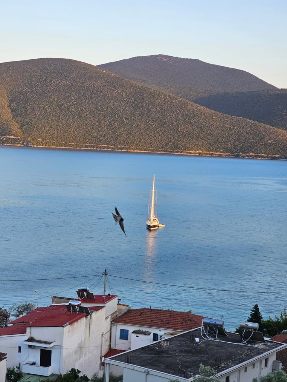 Sea view