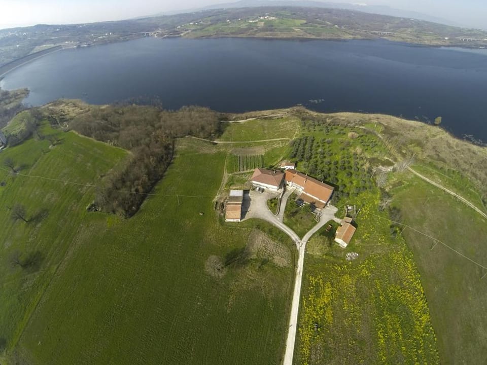 B&b Il Gheppio Bed and Breakfast in Campania
