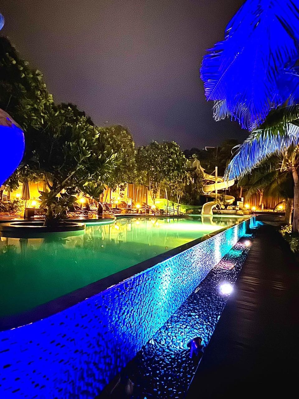 Garden, Swimming pool