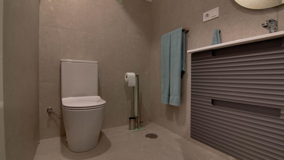 Shower, Toilet, Bathroom, hair dryier, internet