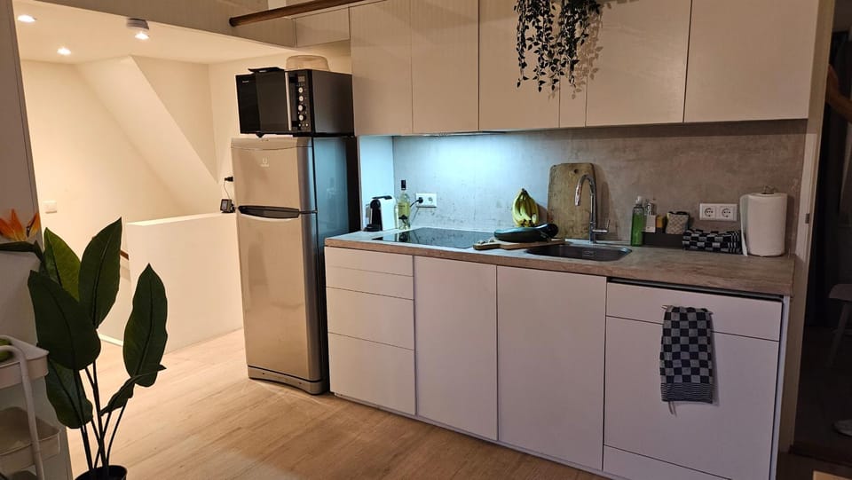 Amsterdam ZaanseSchans House Apartment in North Holland (province)