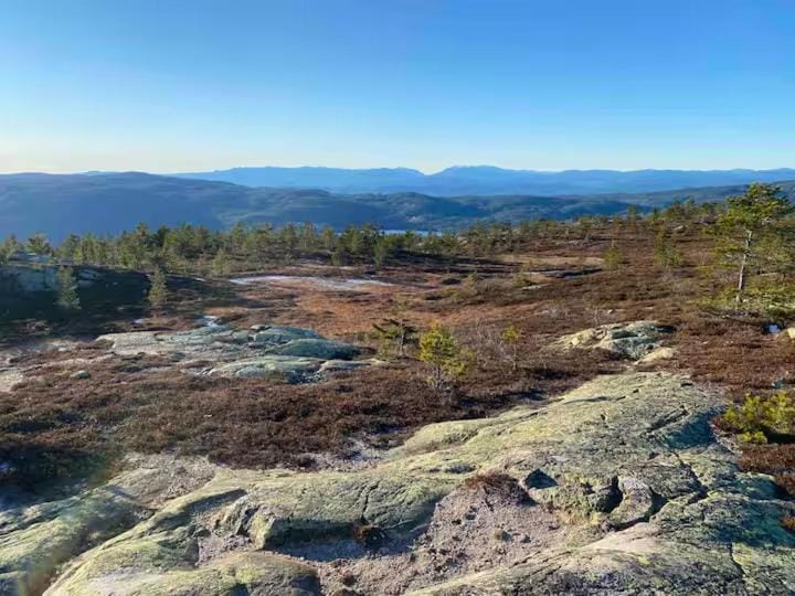 Blefjell hytte med fantastisk utsikt Chalet in Viken, Norway