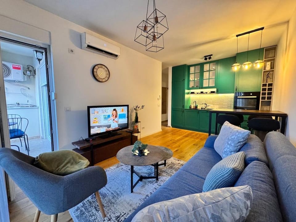 Communal lounge/ TV room, TV and multimedia, Kitchen or kitchenette, Living room, Seating area, Dining area, Evening entertainment, air conditioner