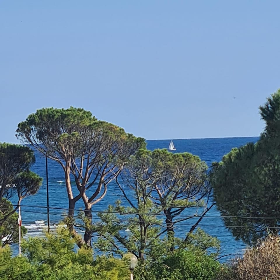Sea view