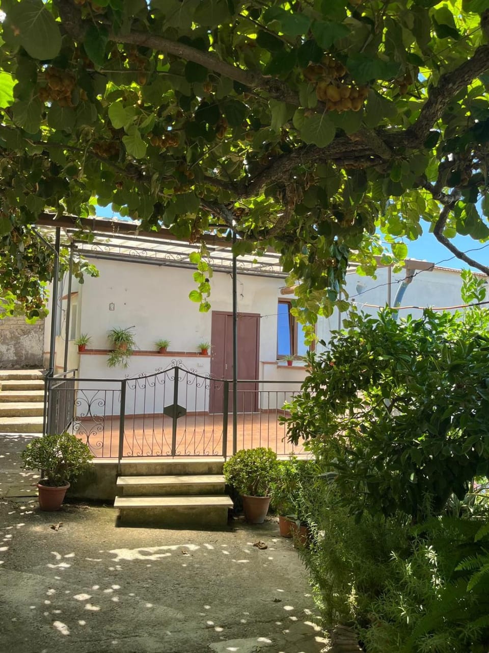 Nello House House in Vico Equense