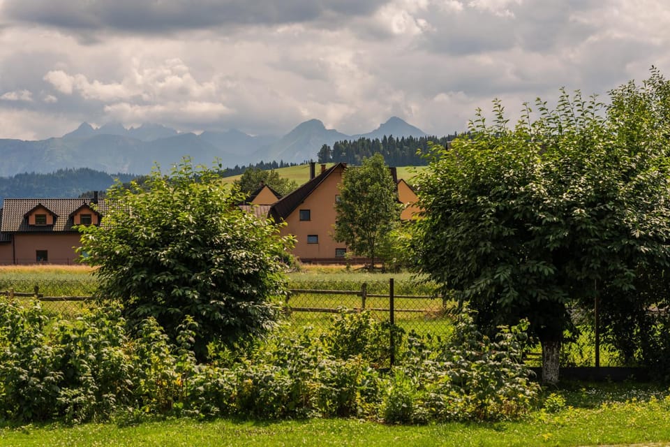 Day, Natural landscape, Garden, Garden view, Mountain view