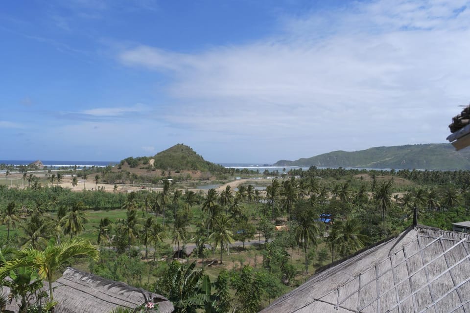 View (from property/room)
