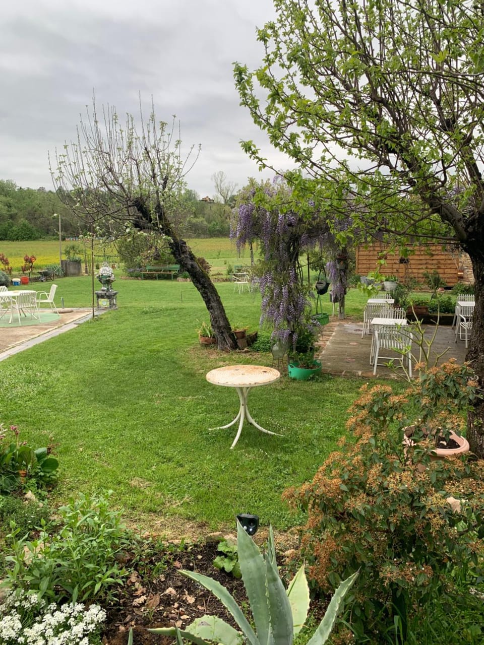 Garden view