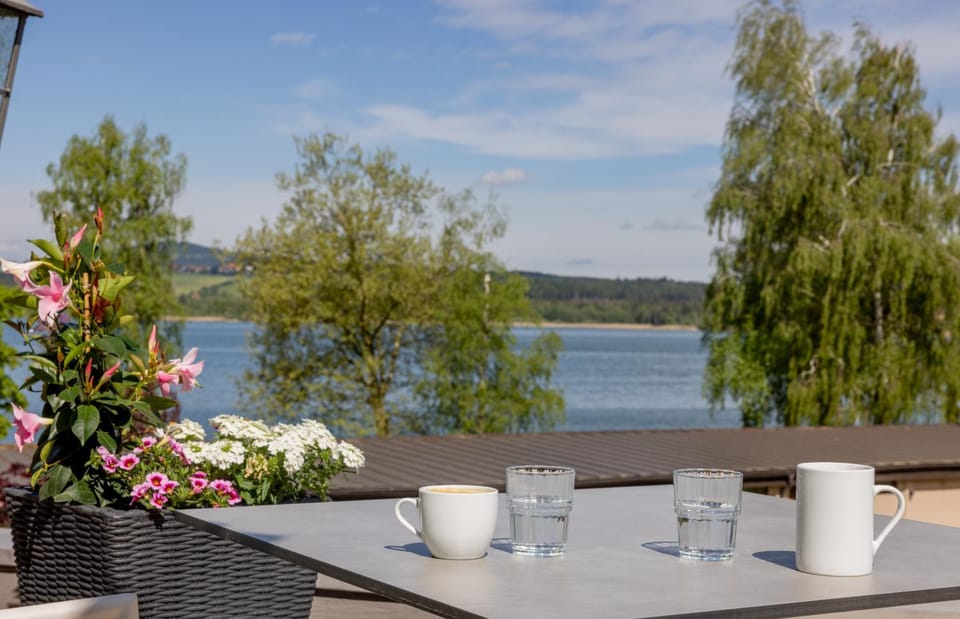View (from property/room), Balcony/Terrace, Lake view