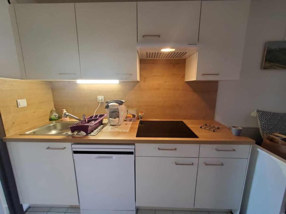 Marina St Cyprien Apartment in Saint-Cyprien