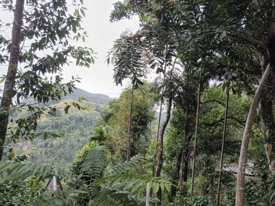 Mountain view