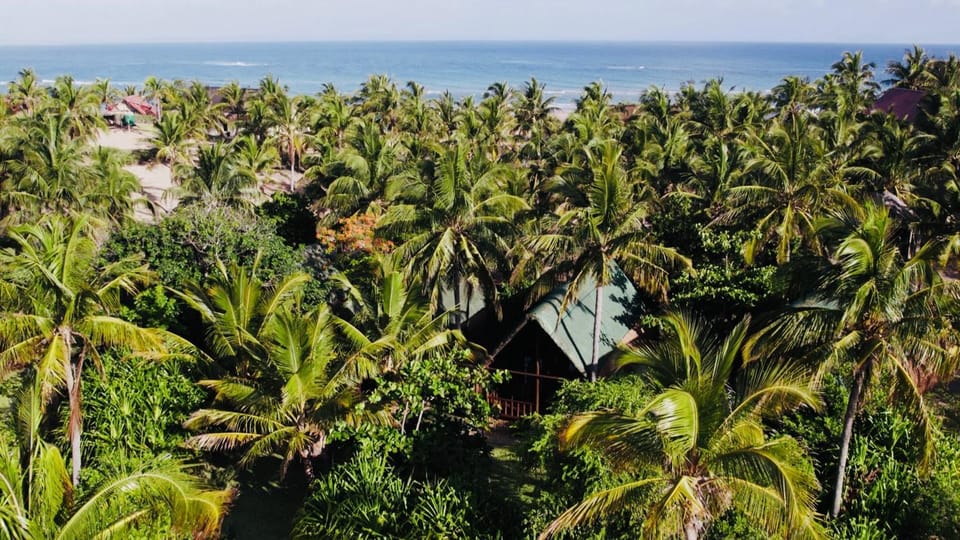 Garden, Sea view