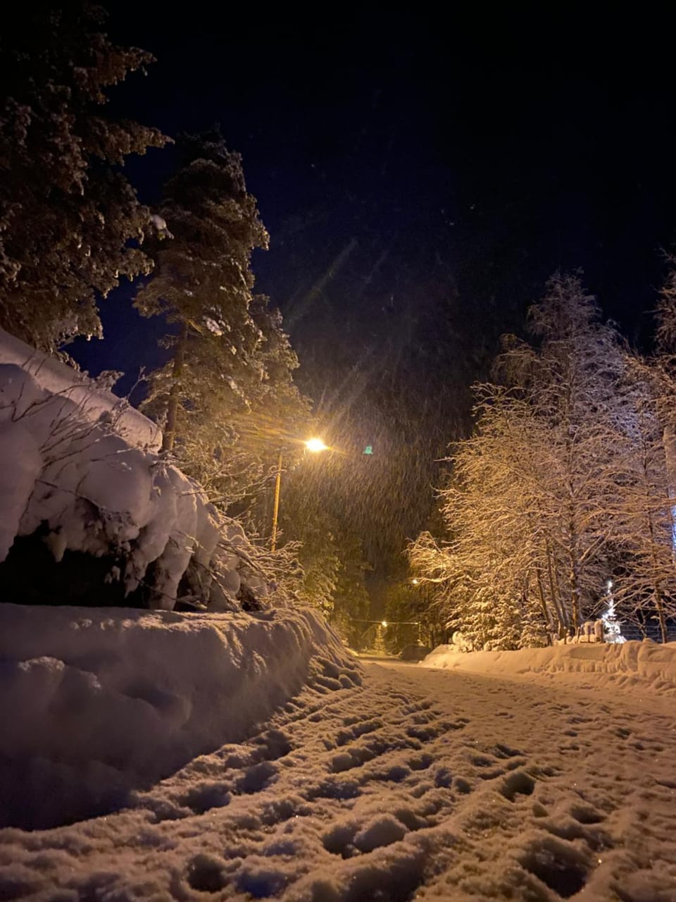 Natural landscape, Winter
