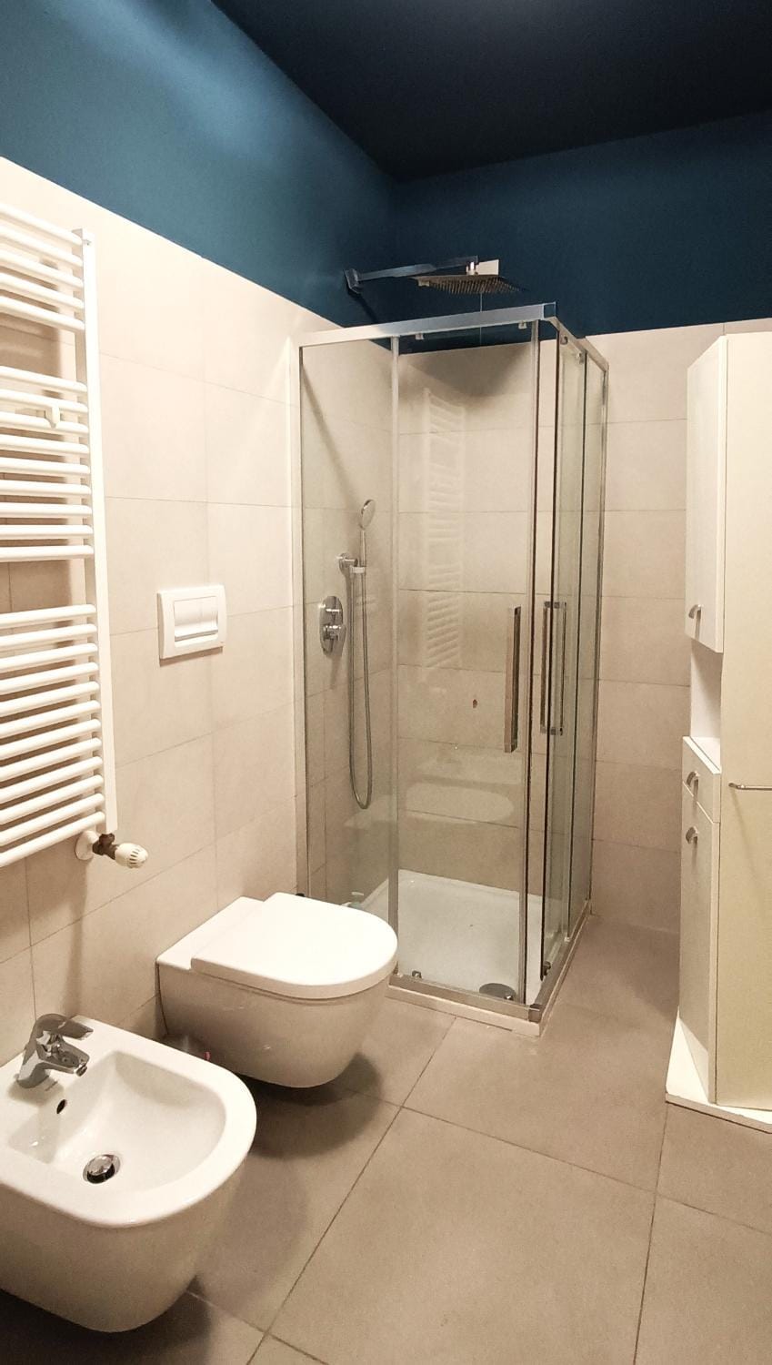 Shower, Toilet, Bathroom, bidet