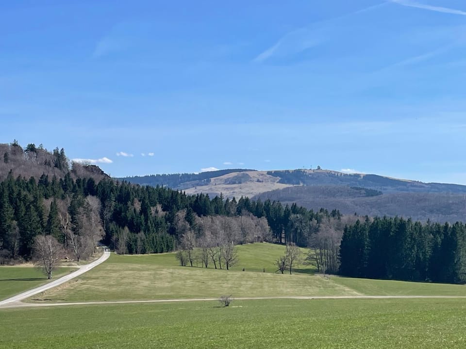 Ferienwohnung Menz - Alte Mühle - mit Milseburgblick und Gartenpool Apartment in Hesse