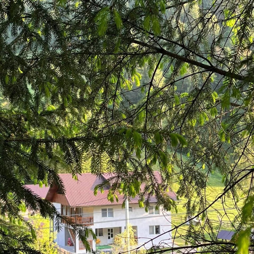 Apuseni Escape Nature lodge in Cluj County