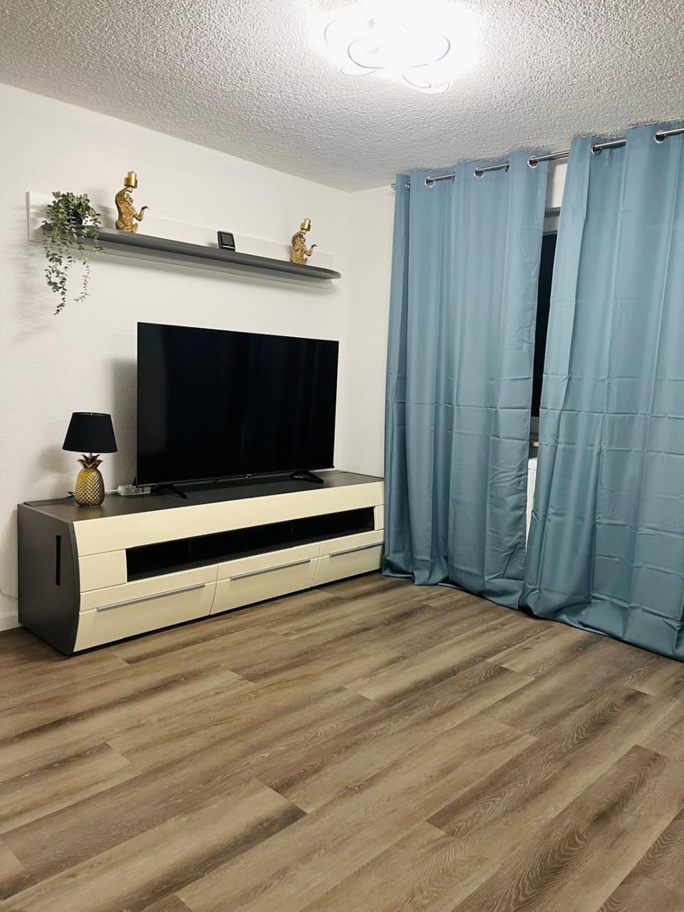 TV and multimedia, Living room