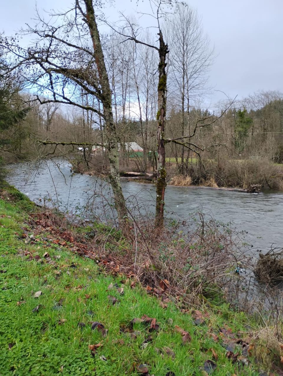 Cedar River House in Cascade-Fairwood