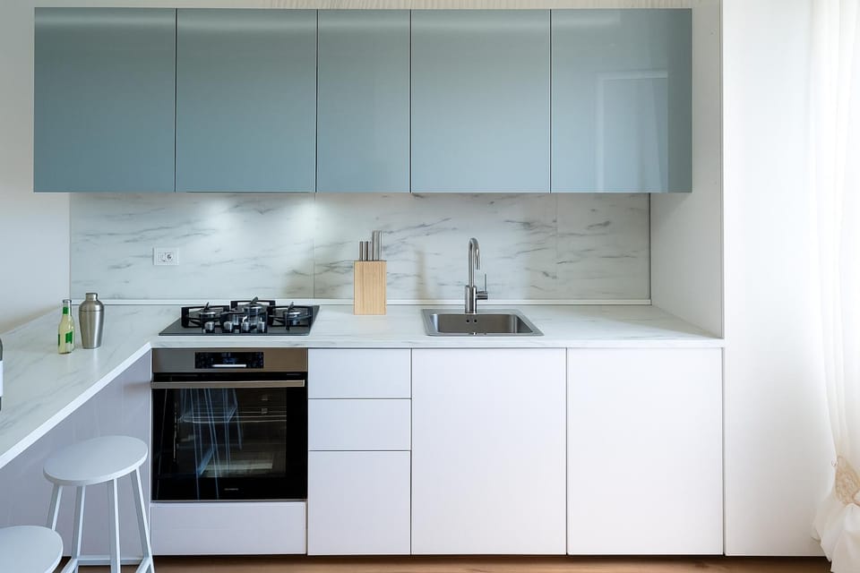 Kitchen or kitchenette, dishwasher, stove