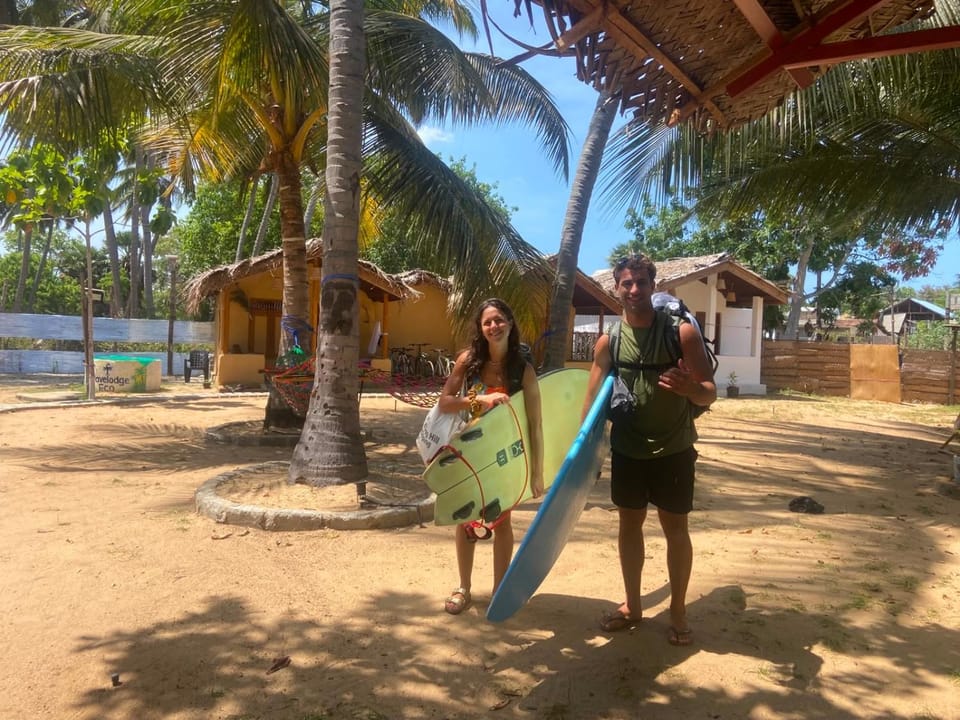 Windsurfing, group of guests