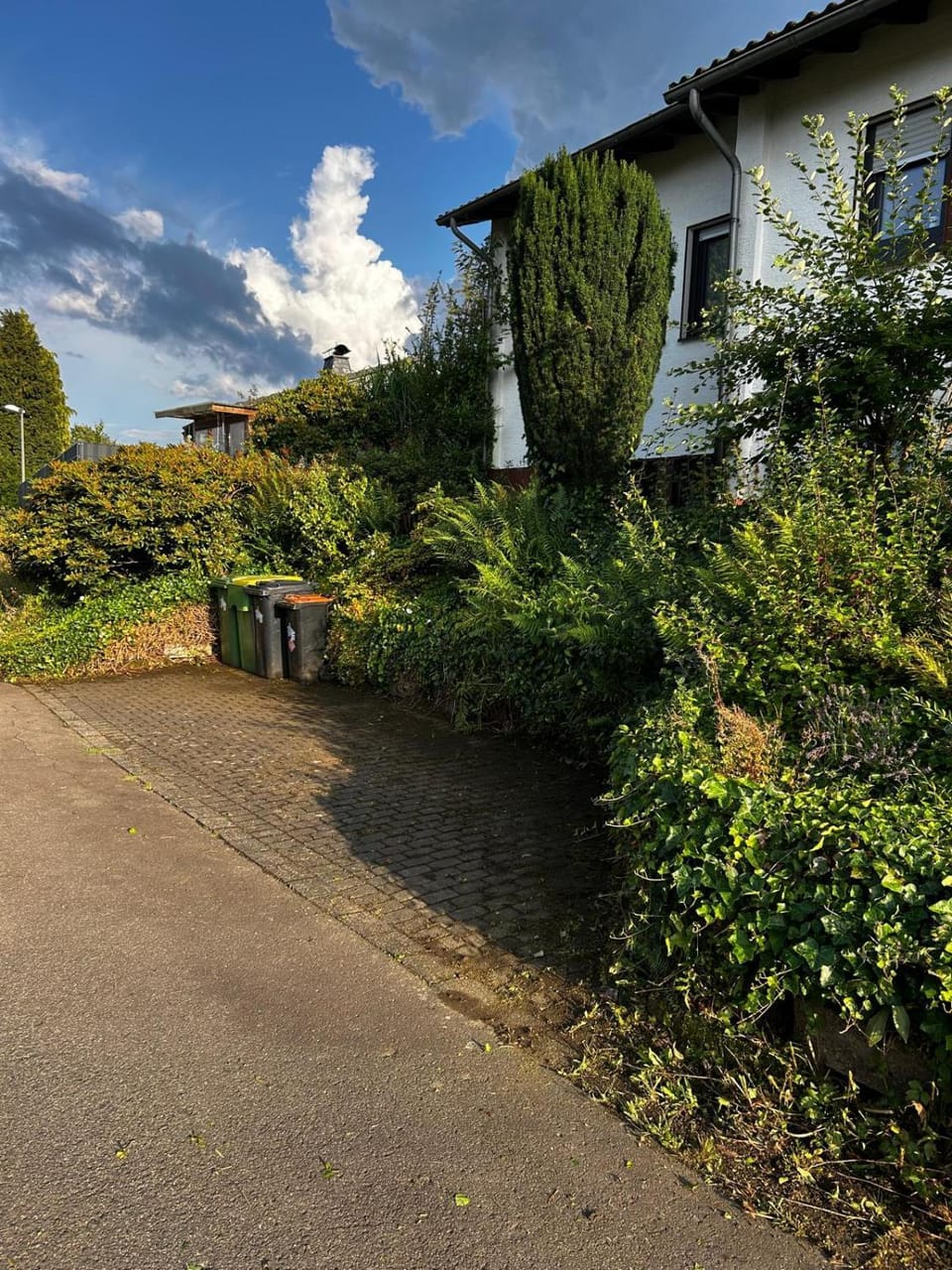 Garden, Street view, Parking