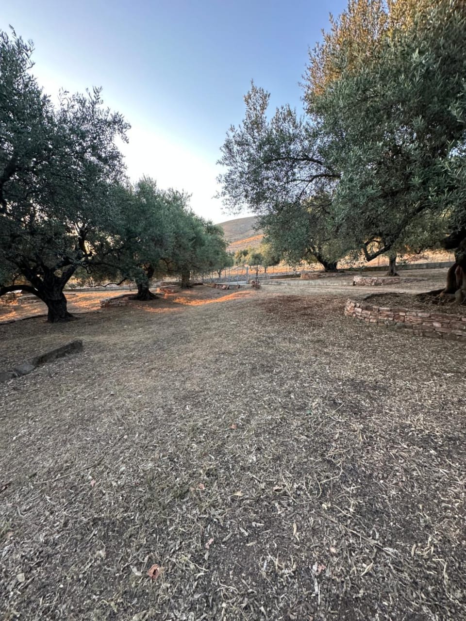 Te Nana's Farm Farm Stay in Vlorë County, Albania