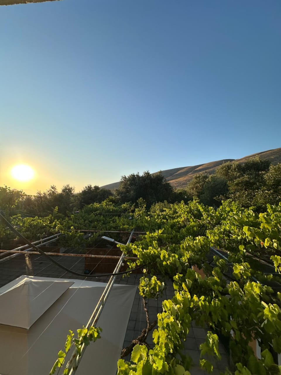 Te Nana's Farm Farm Stay in Vlorë County, Albania
