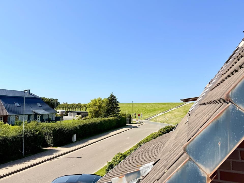 Neighbourhood, Natural landscape, Street view