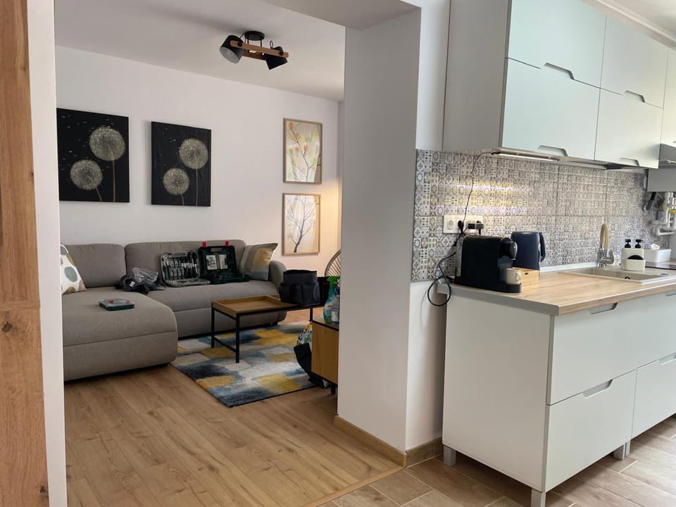 Kitchen or kitchenette, Living room, Seating area, Dining area, stove