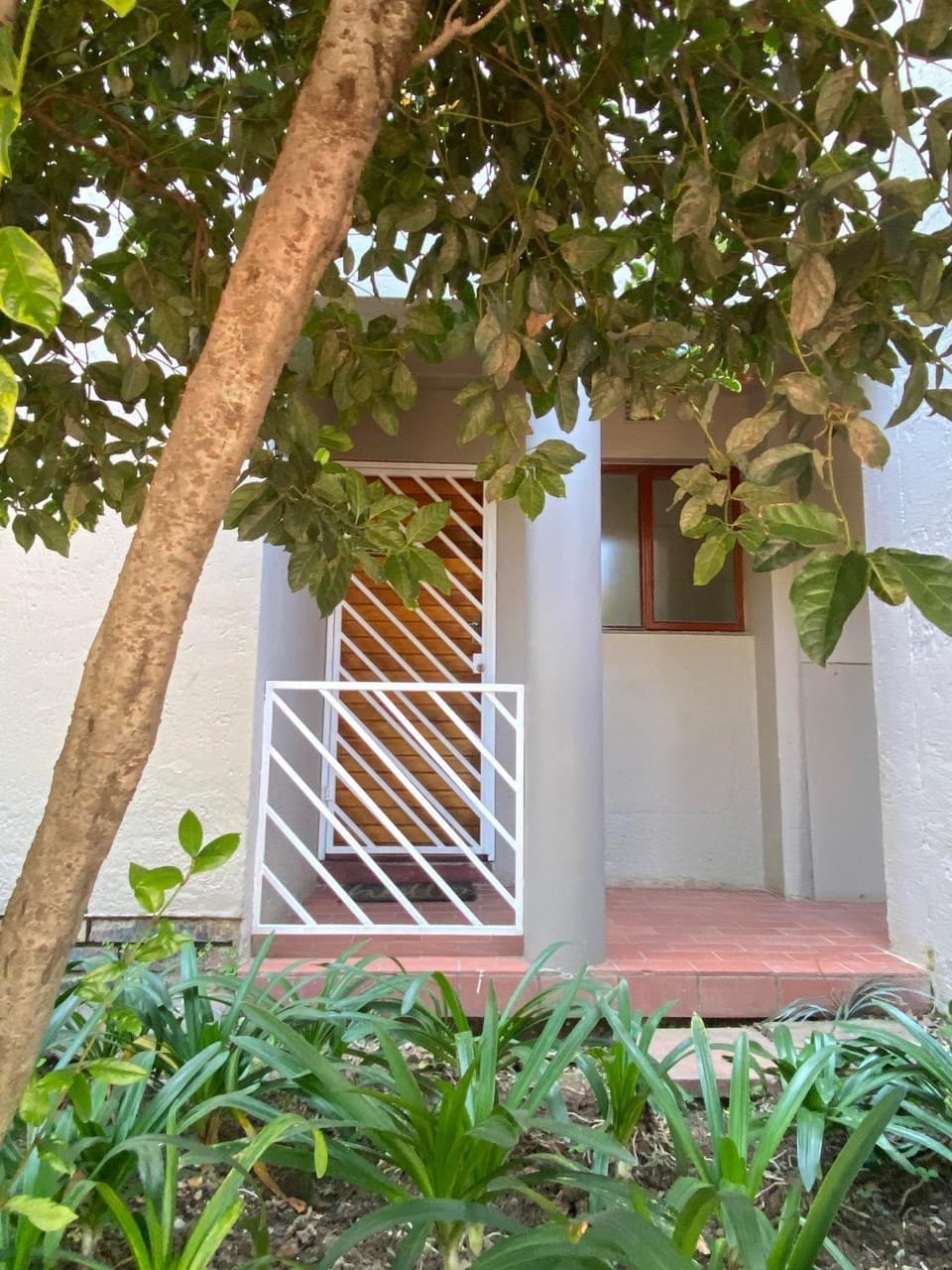 Property building, Garden view