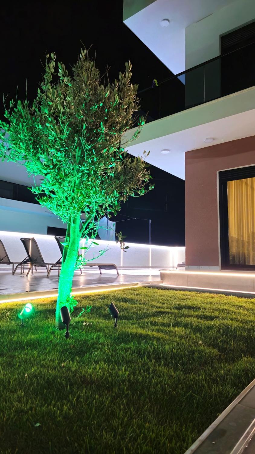 Patio, Night, Garden, Garden view