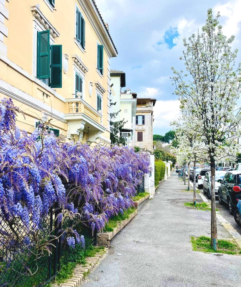 Property building, Neighbourhood, Street view, Parking