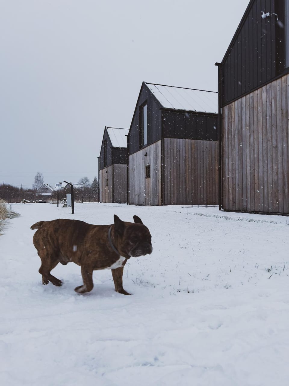 Domki Kwiatowe N05 - Łeba Chalet in Leba