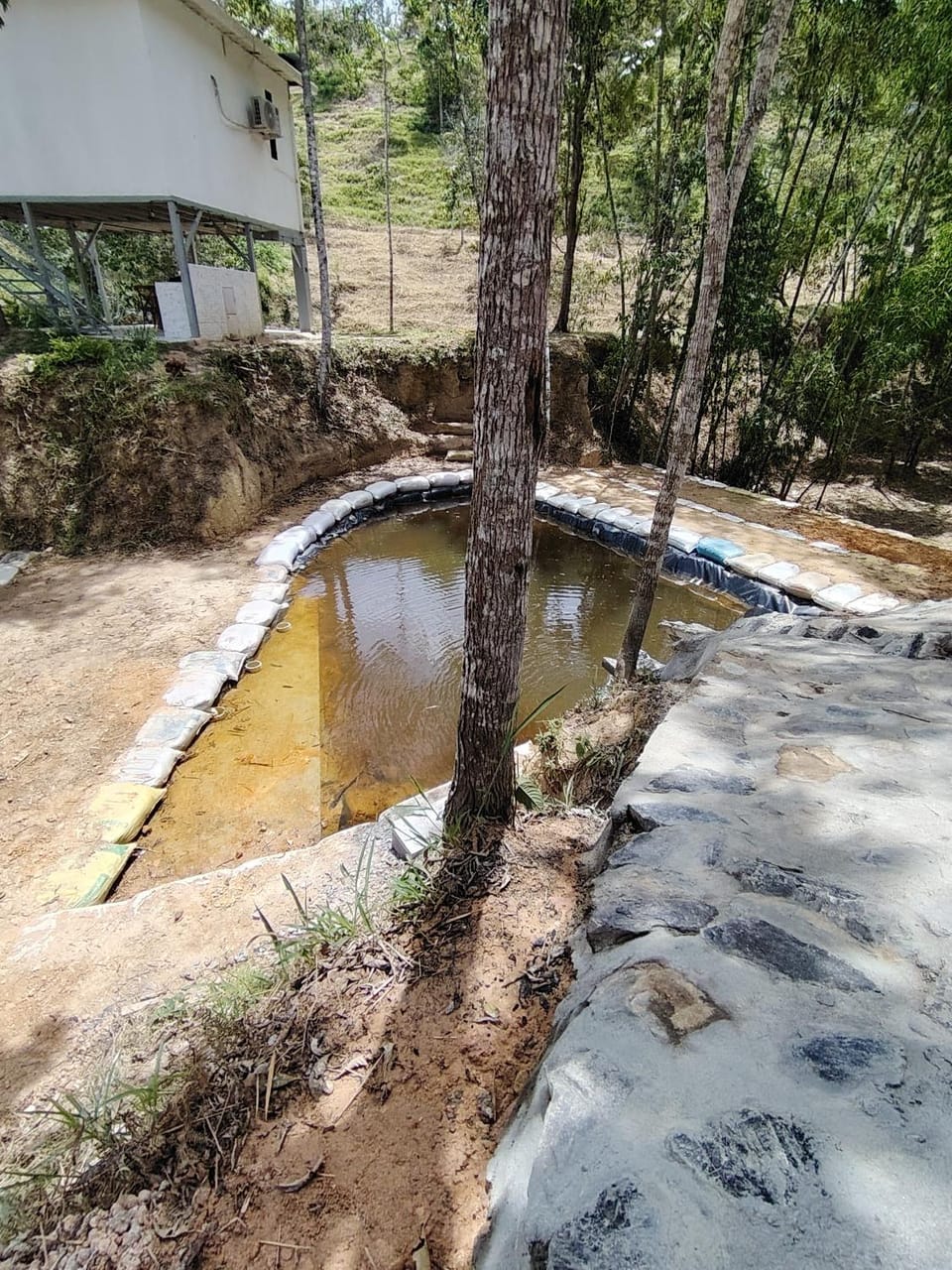 Swimming pool