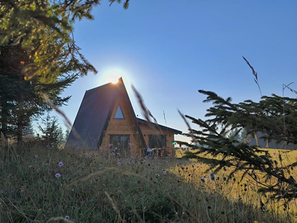 Property building, Day, Natural landscape, Garden view