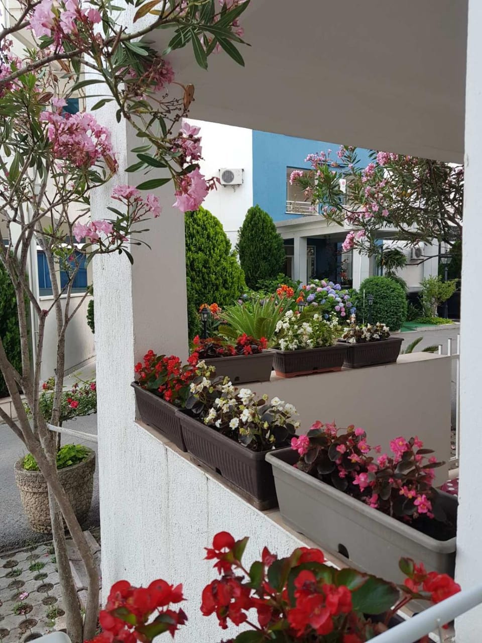 Apartment Aleksic Becici Apartment in Budva Municipality