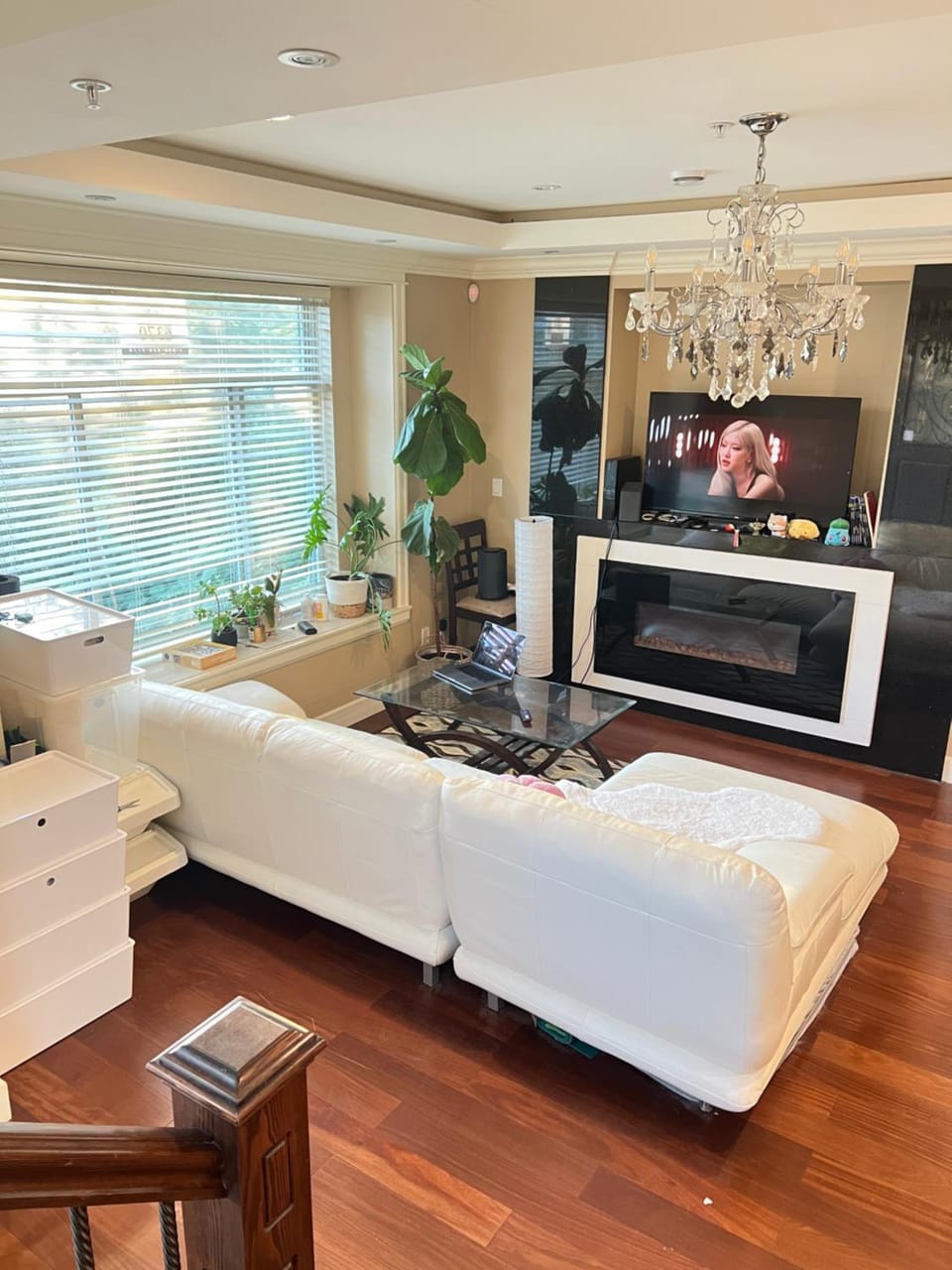 TV and multimedia, Living room