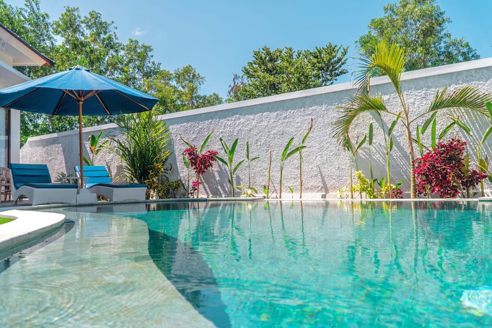 Day, Pool view, Swimming pool