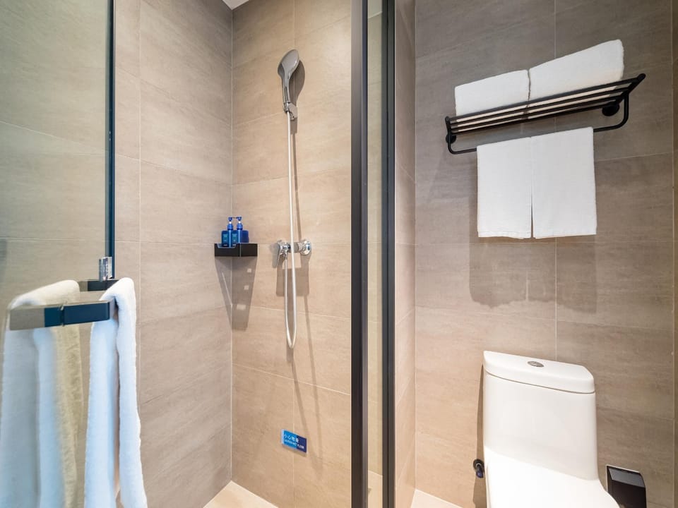 Shower, Toilet, Bathroom, towels