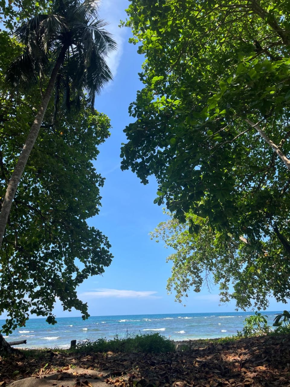 Hesed Caribbean hideaway Villa in Puerto Viejo Talamanca