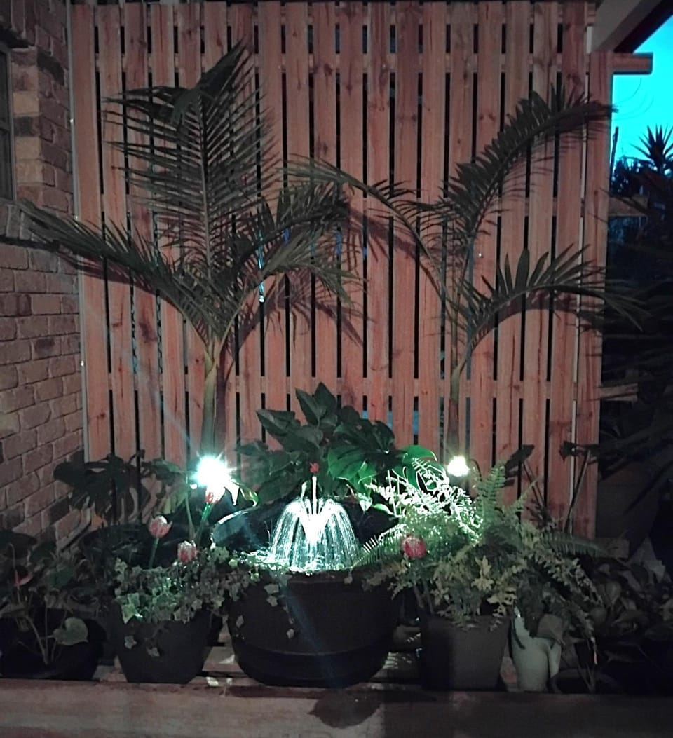 Patio, Night, Garden, Garden view