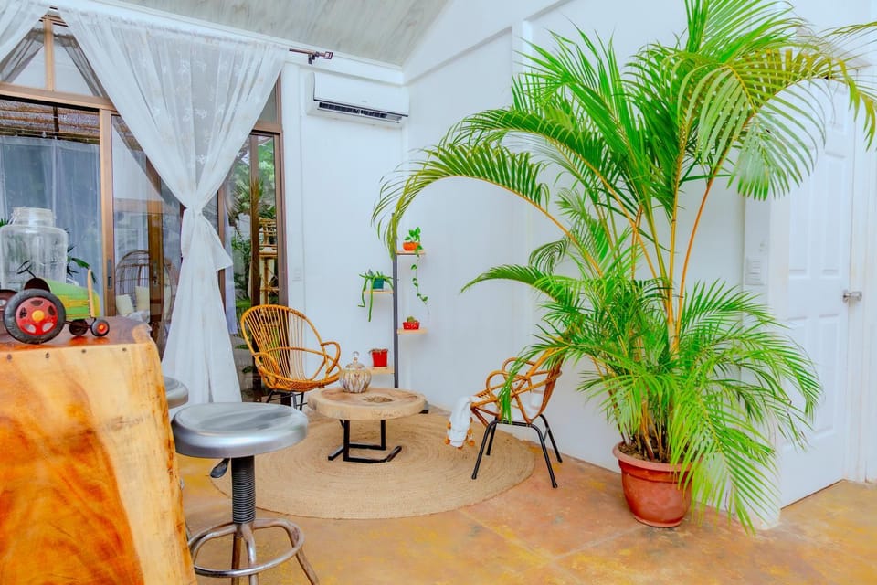 Casa Verde Villa in Puerto Viejo Talamanca
