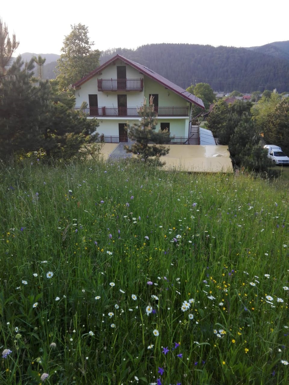 Property building, Garden, On site