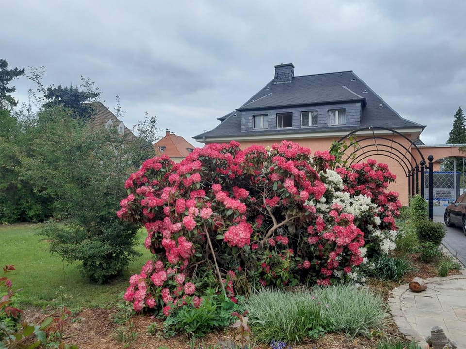 Property building, Garden view