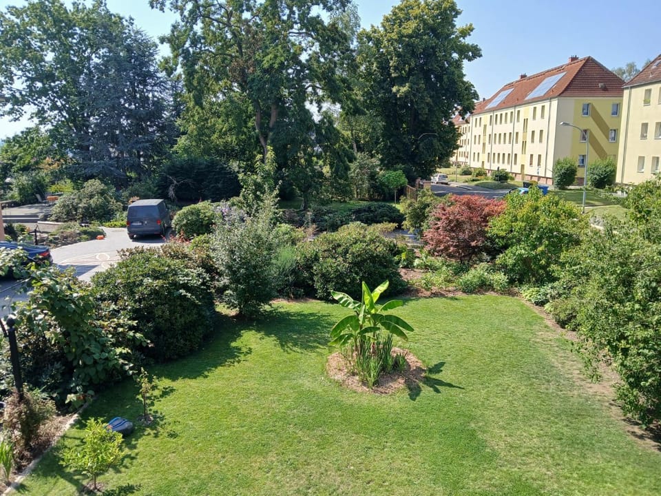 Garden view